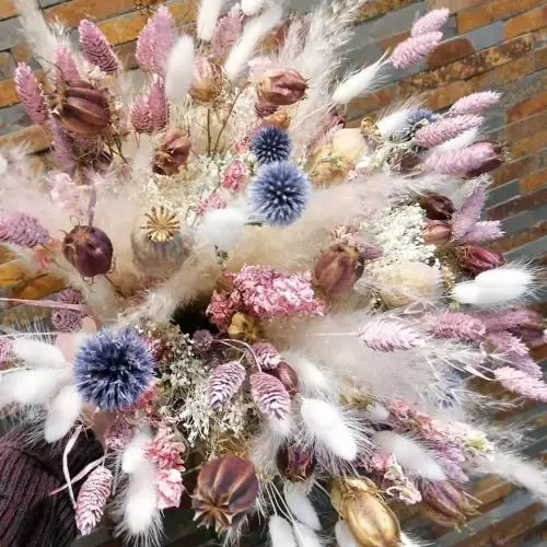 Bouquet de fleurs sèches: à partir de 29€