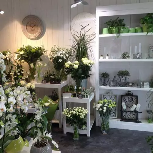 Boutique SA