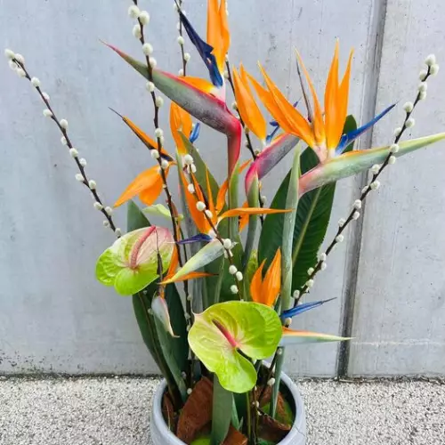 Composition exotique