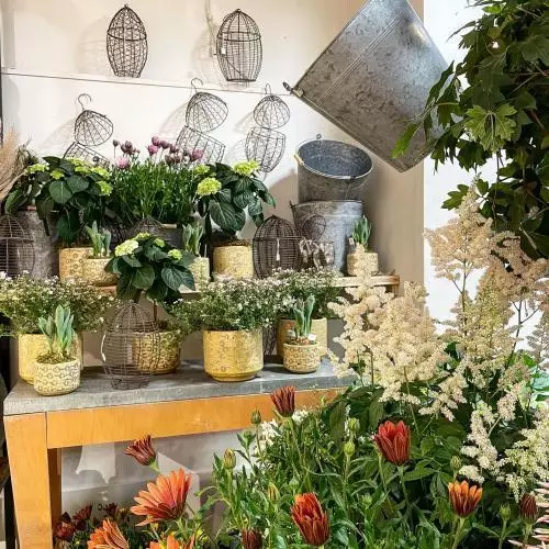Printemps
