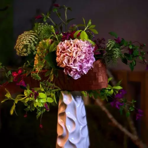 Mon Bel Hortensia