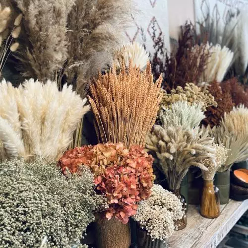 Fleurs séchées