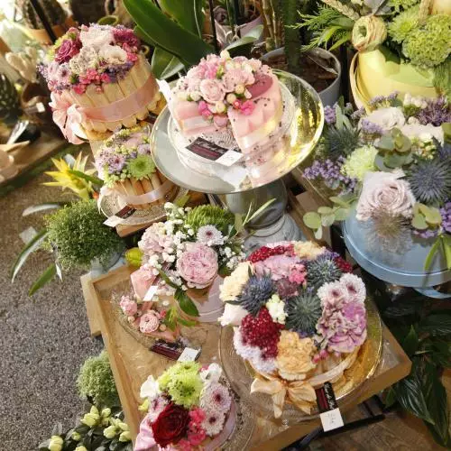 A FLEUR DE POT ANGOULÊME 05 45 92 52 57