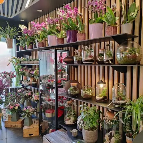La boutique du centre ville