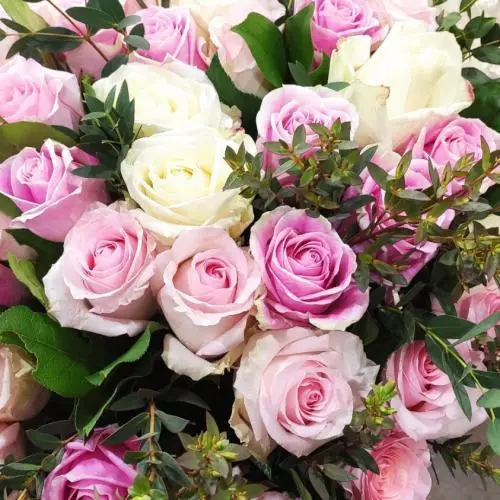 Bouquet de roses