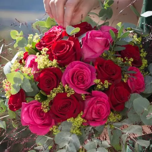 Flora Mazères Fleurs