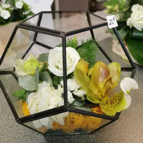 Terrarium