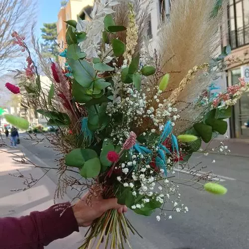 FLEURS SECHEES
