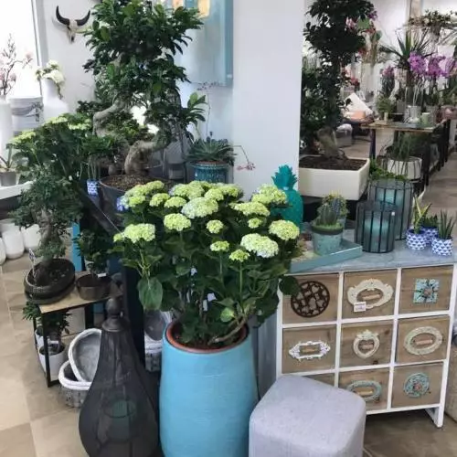 boutique