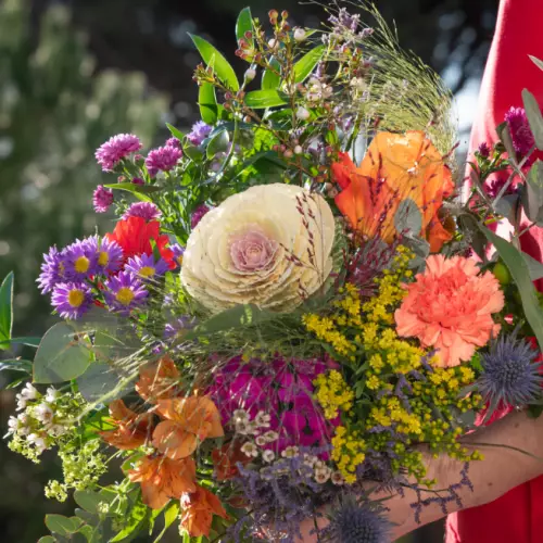 Fleurs et Nature