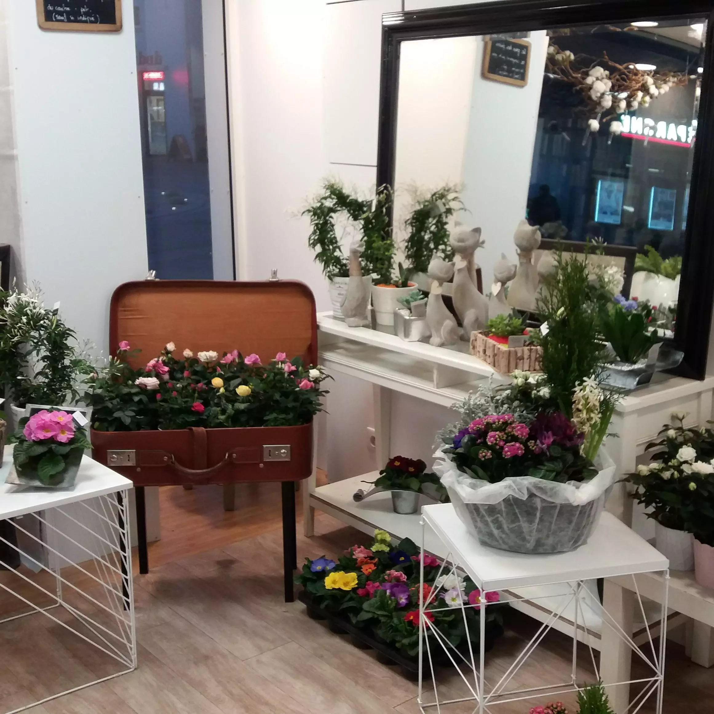 interieur du magasin
