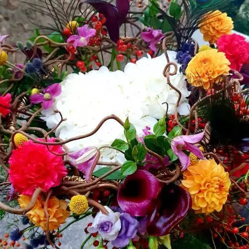 Jardin d automne