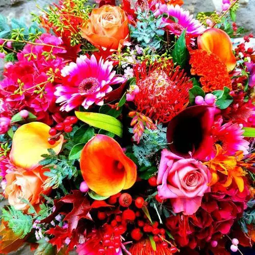Haut en couleur