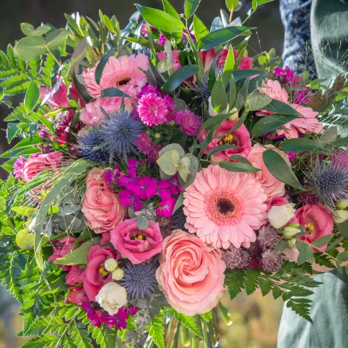 Bois de Rose