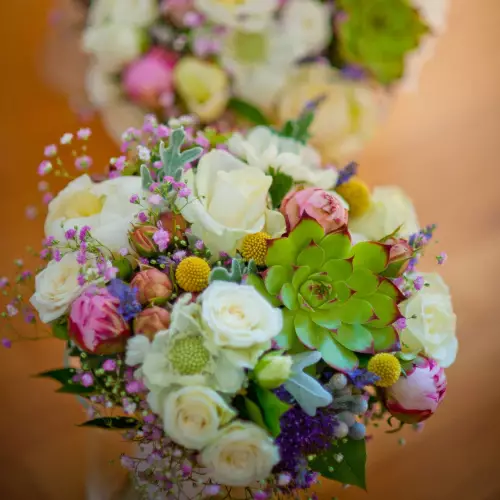 Bouquet coloré succulente