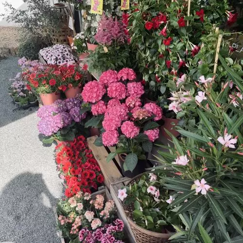 Jardin!