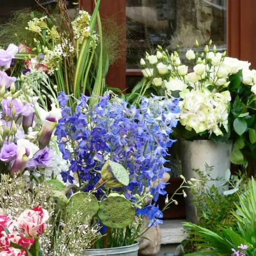 Fleurs champetres