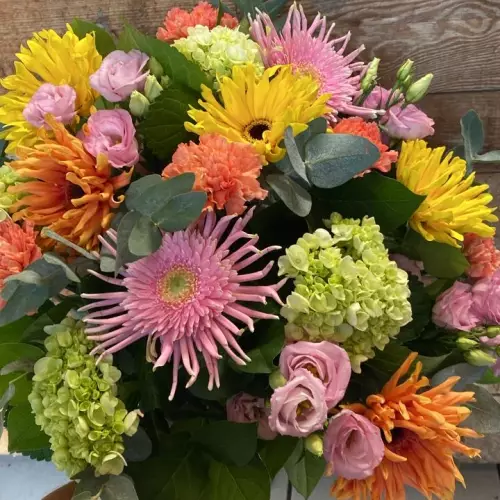 Bloomy