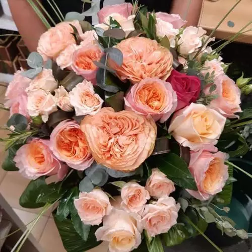 roses intense