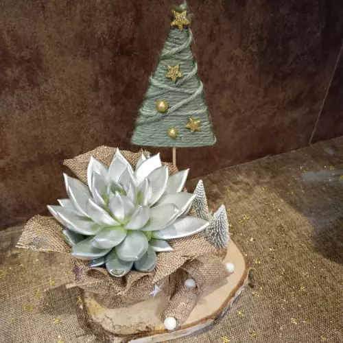 Creation Noël