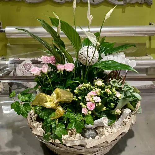 Panier intérieur