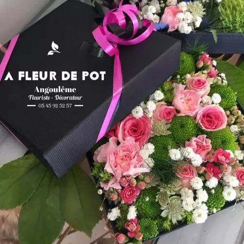 A FLEUR DE POT ANGOULÊME 05 45 92 52 57
