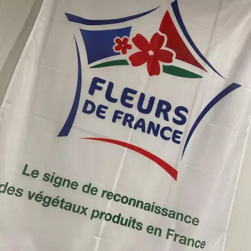 fleurs francaise