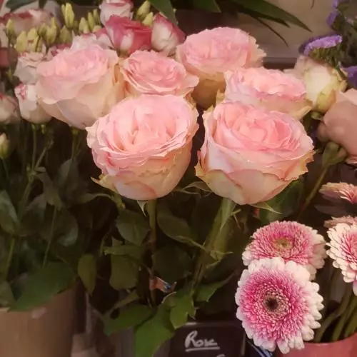 Roses & Beauté