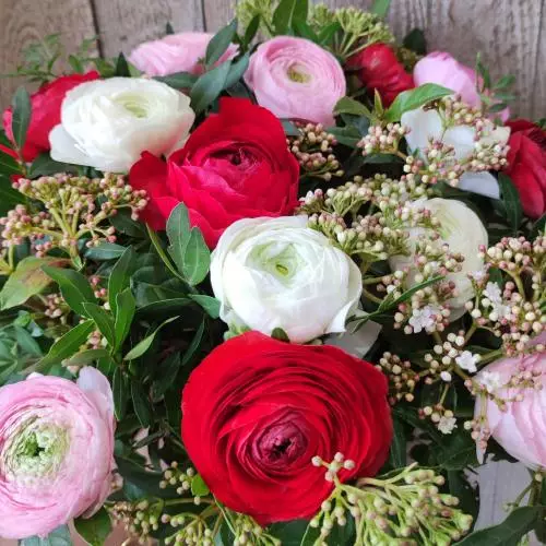 Fleurs d'hiver, la renoncule