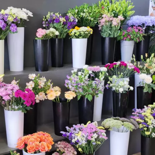 Fleurs fraîches
