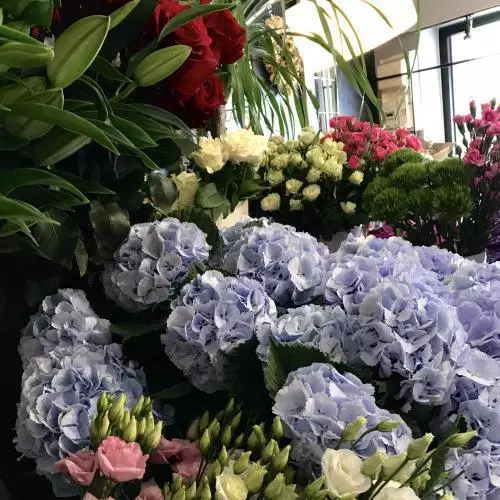 Arrivage fleurs de saison