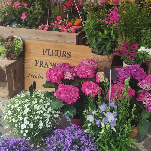 Plantes extérieur