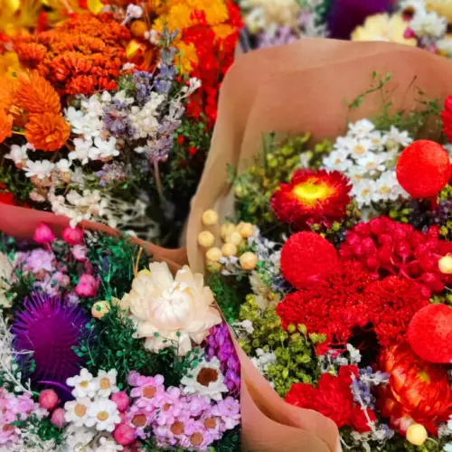Aux Fleurs de Sainte Foy