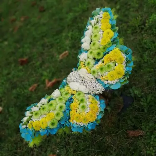 Papillon