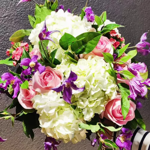 Hydrangea et Cie